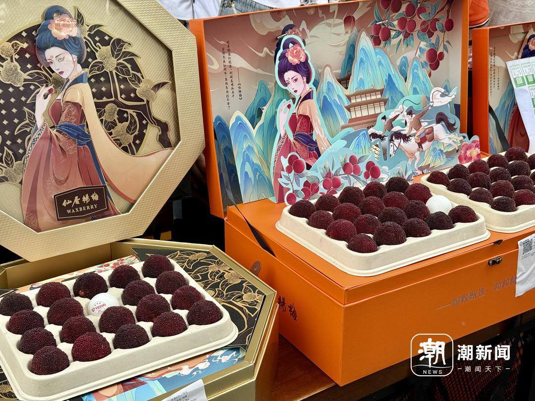 六月楊梅正當紅