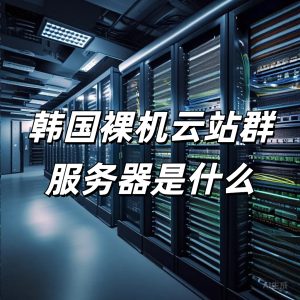 韓國裸機云站群服務器是什么