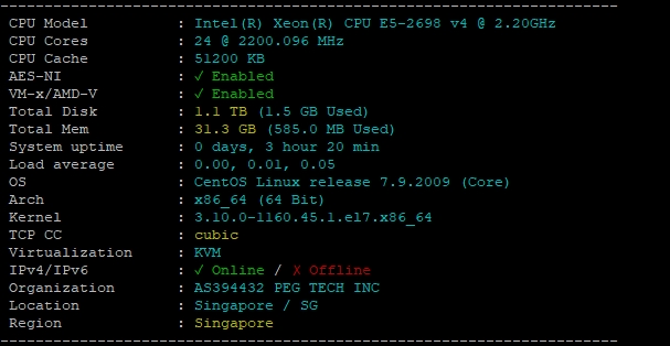 RAKsmart新加坡裸機云服務(wù)器評測