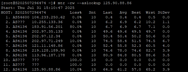 RAKsmart新加坡物理服務器評測