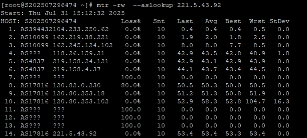RAKsmart新加坡物理服務器評測