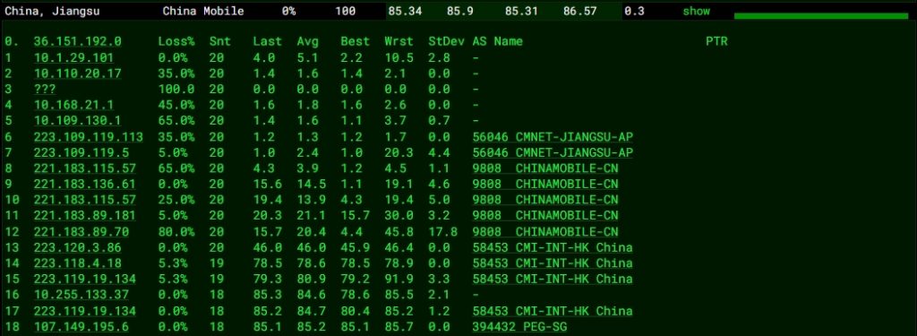 RAKsmart新加坡物理服務器評測