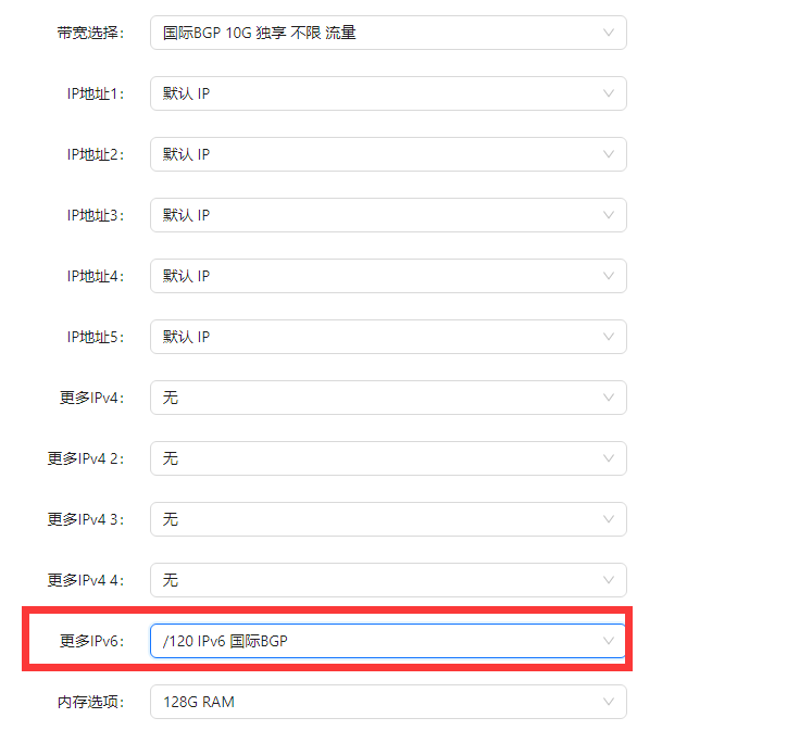 RAKsmart法蘭克福獨服10G大帶寬產品增加IPv6選項