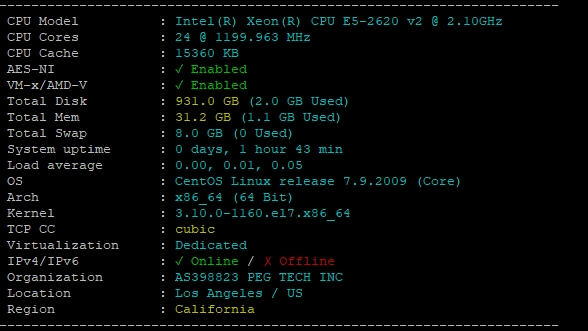 RAKsmart美國洛杉磯高防服務器速度和性能評測