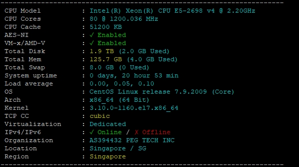 RAKsmart新加坡物理DDOS服務器實測
