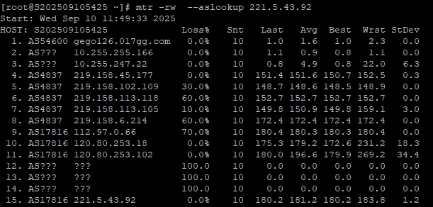 RAKsmart美國洛杉磯高防服務器速度和性能評測
