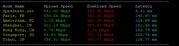 RAKsmart美國洛杉磯高防服務器速度和性能評測