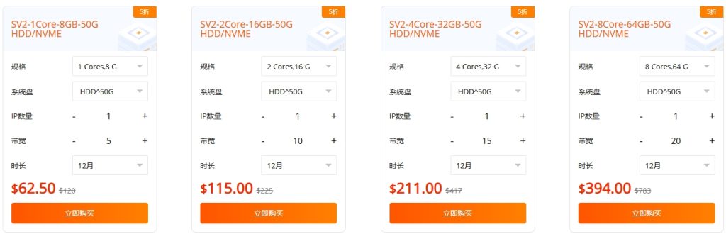 raksmart年末鉅惠 全線福利價