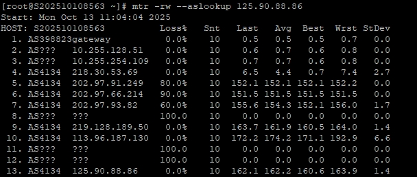 RAKsmart美國洛杉磯10G+大帶寬服務器深度評測