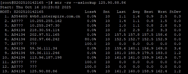 RAKsmart美國硅谷站群多IP服務器實戰測評