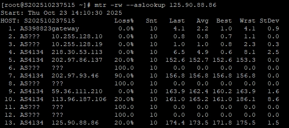 RAKsmart美國洛杉磯站群服務器深度測評