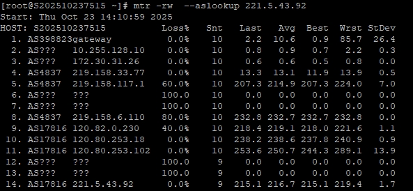 RAKsmart美國洛杉磯站群服務器深度測評