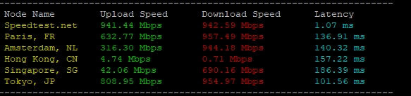 RAKsmart美國硅谷站群多IP服務器實戰測評