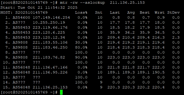 RAKsmart美國西雅圖站群多IP服務器:253個獨立IP下的性能表現全解析
