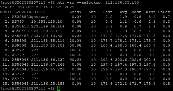 RAKsmart美國洛杉磯站群服務器深度測評