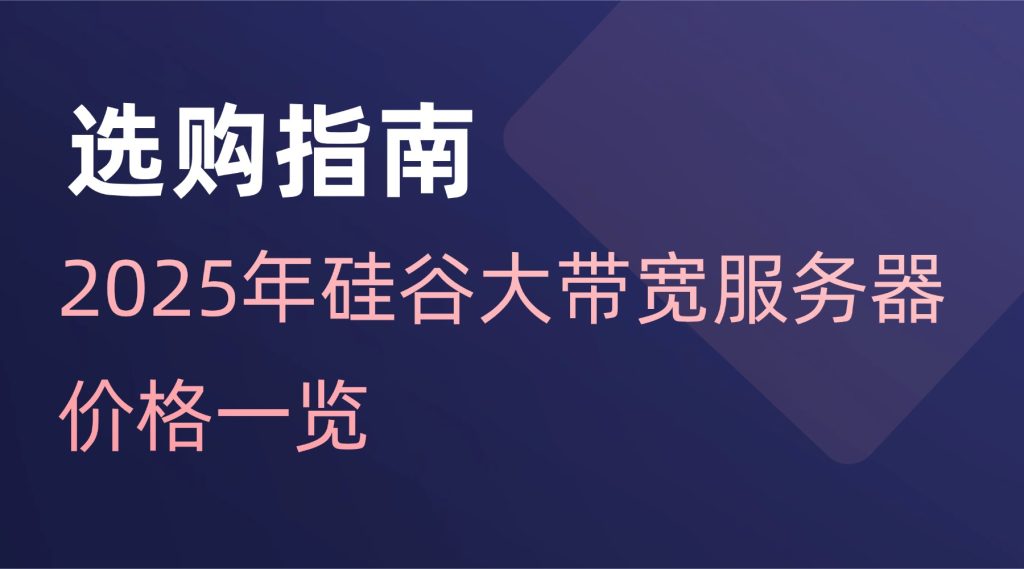 2025年硅谷大帶寬服務器價格一覽：高性價比方案如何選？